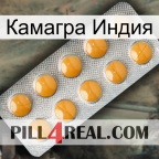 Камагра Индия levitra1